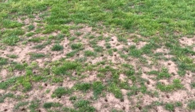 Stressed Sports Pitch