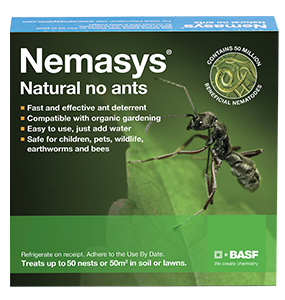 Nemasys No Ants