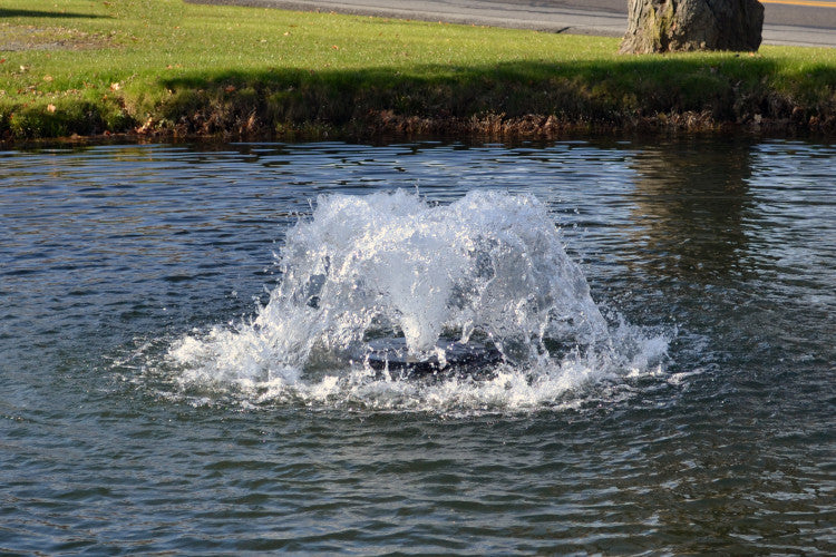 3. Otterbine Fractional image