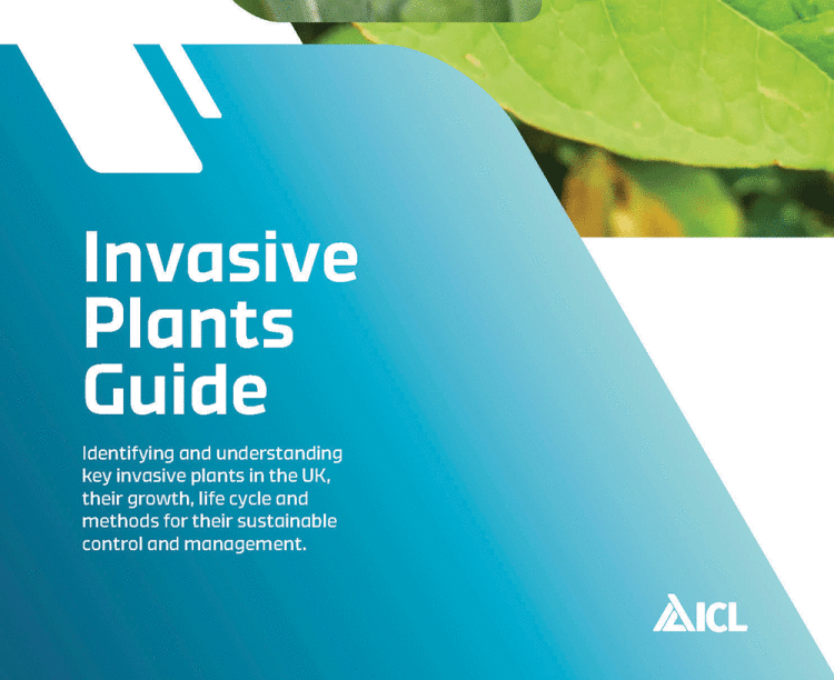 84363_ICL-Invasive_Front_Cover.gif
