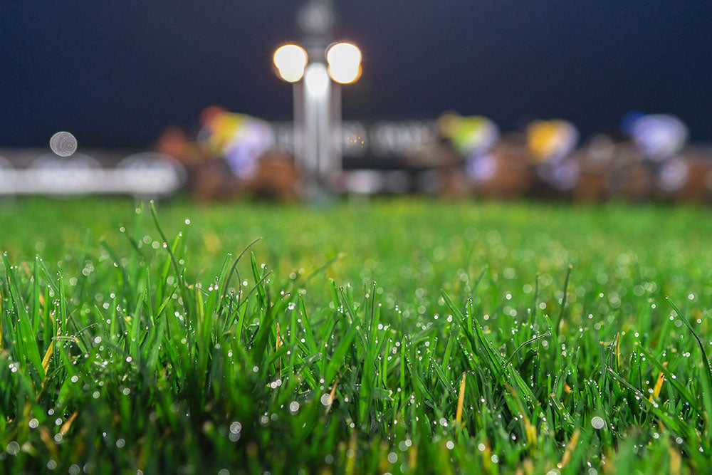 Soil surfactants - Using soil temperatures to determine application timing in order to maximise results