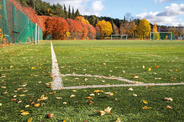 Building resilient sports turf after summer stress