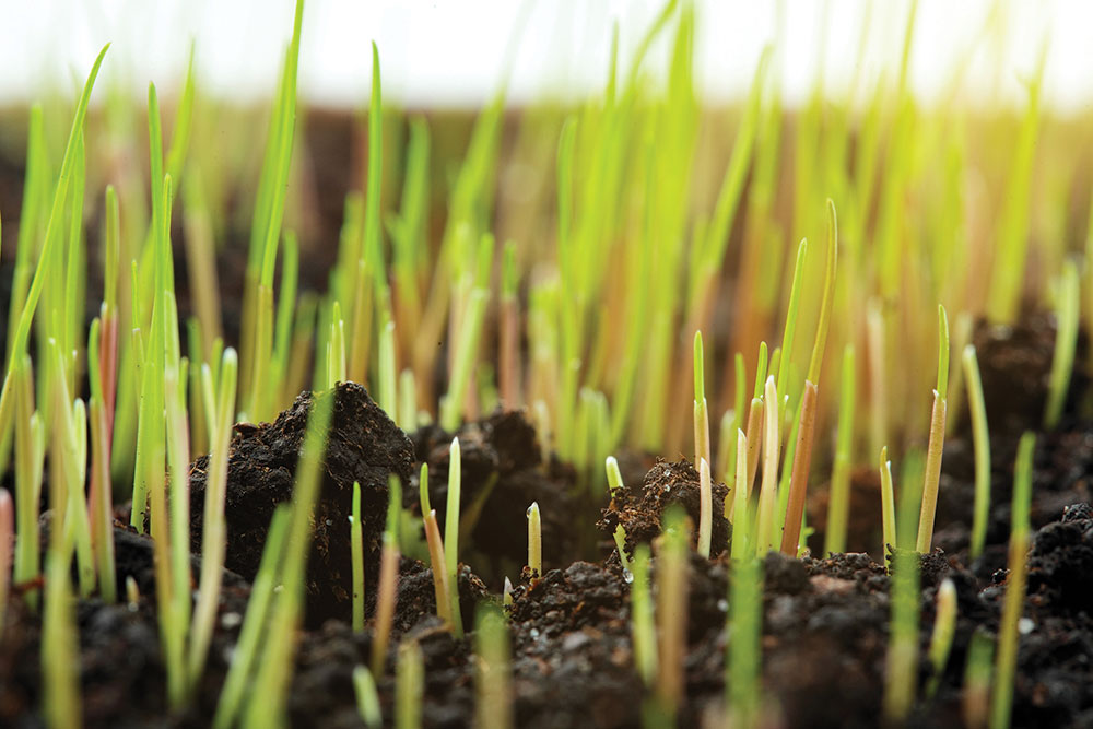 Successful end of season renovations - effective moisture management is key