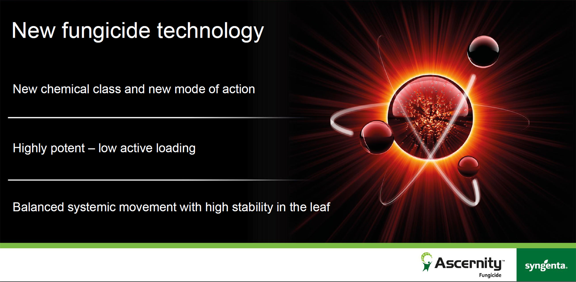 Ascernity pays dividends from investing in dollar spot