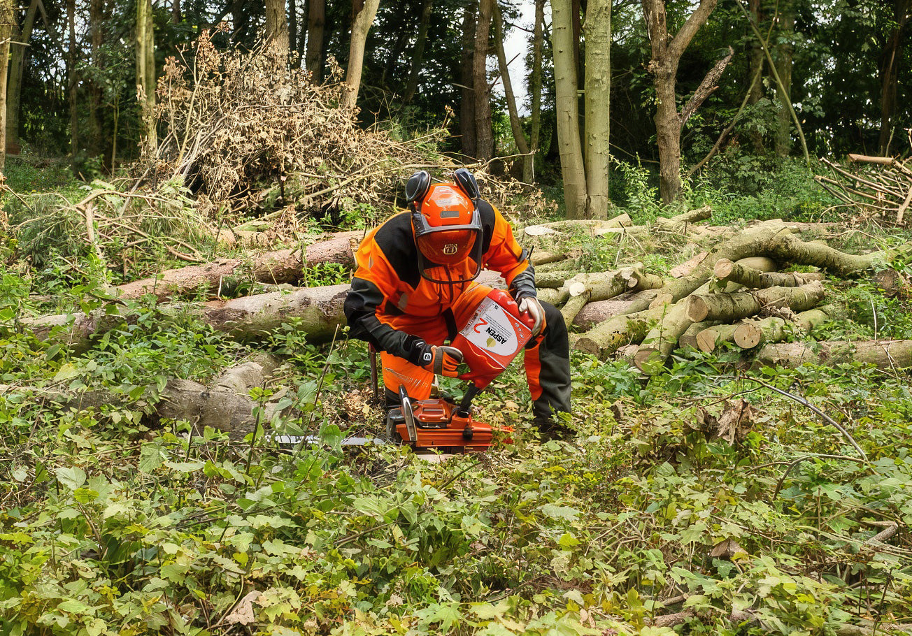 Aspen return to The Arb Show 2024, plot B14