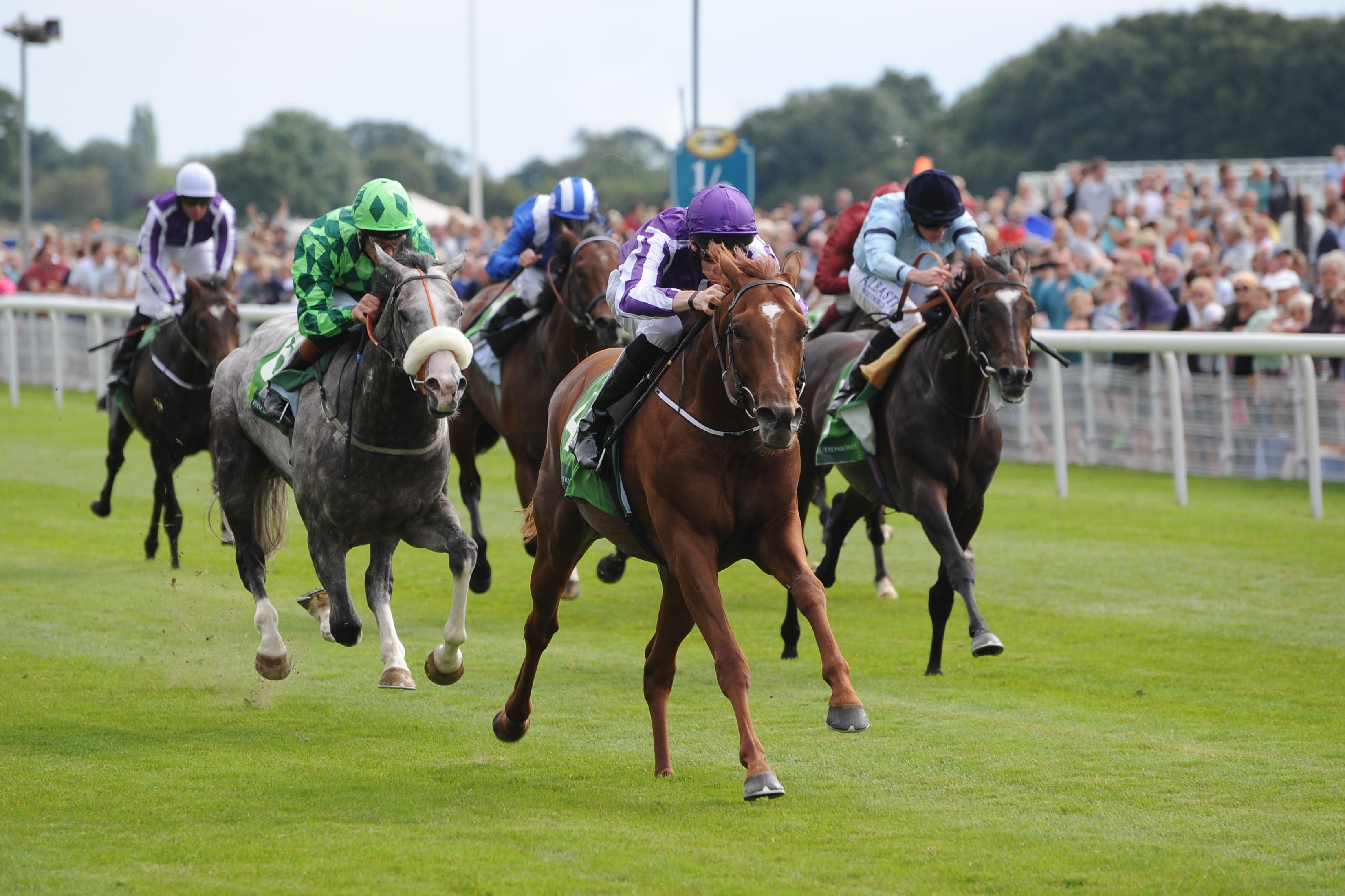 Annual Racecourse Attendance Figures Hold Firm with 4.83m Racegoers