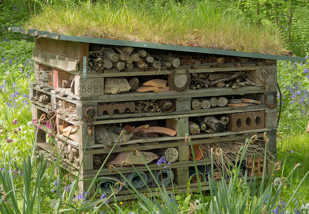 It’s a bug’s life - How bug hotels can benefit your course