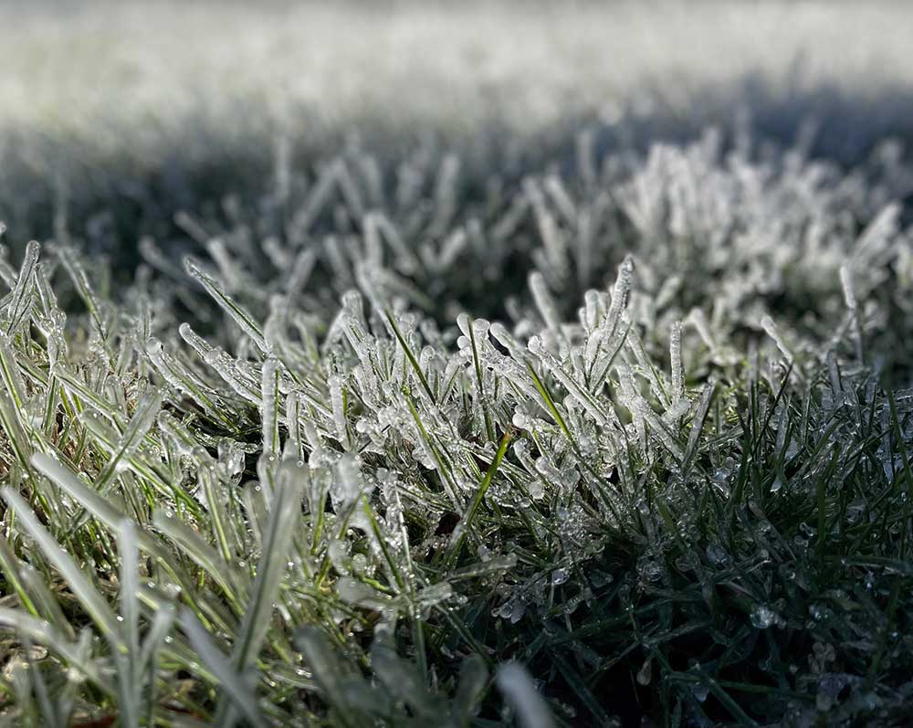 Toughen your turf - The science behind preparing grass for winter stress