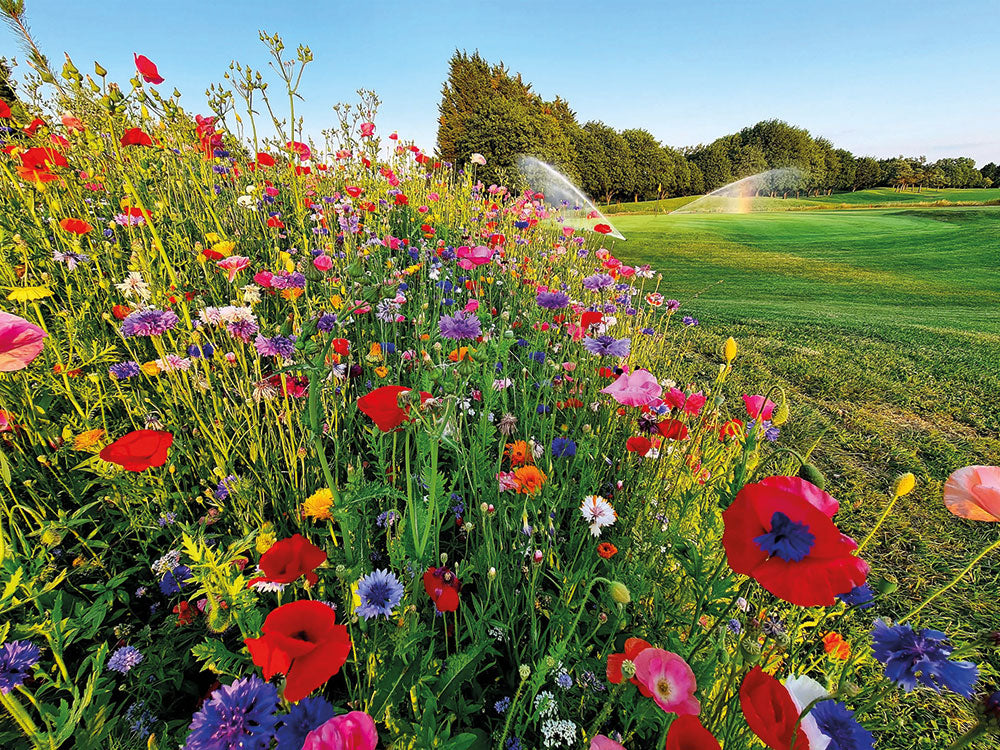 The pollinator boost grounds teams can deliver this summer