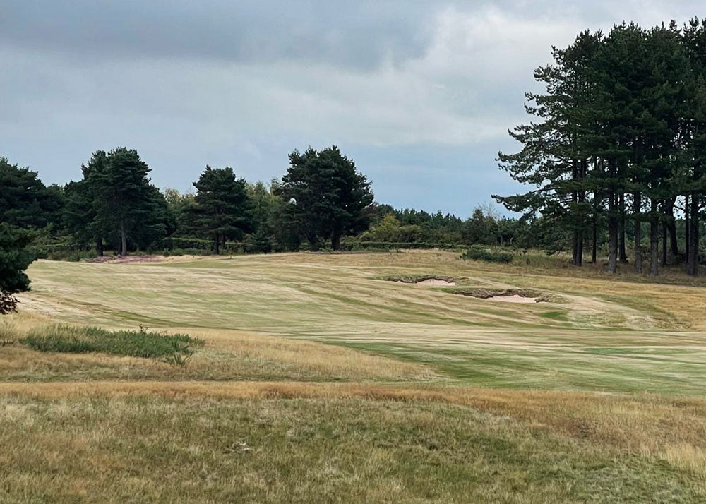 The power of botanical balance