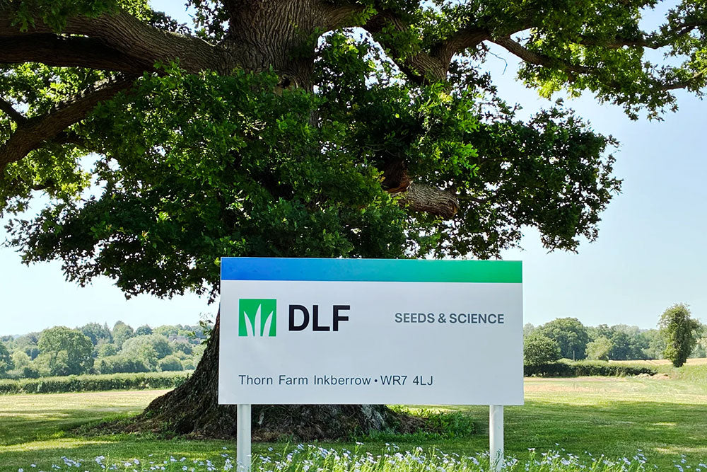 DLF shine a spotlight on sustainable seed solutions at GroundsFest 2026