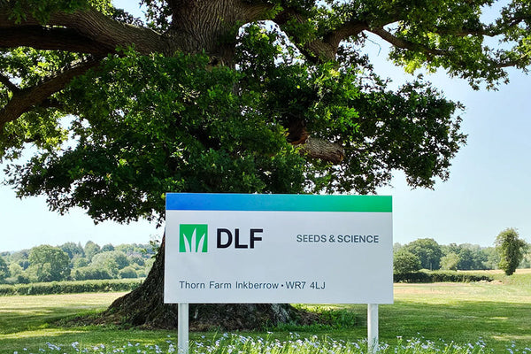 DLF shine a spotlight on sustainable seed solutions at GroundsFest 2026