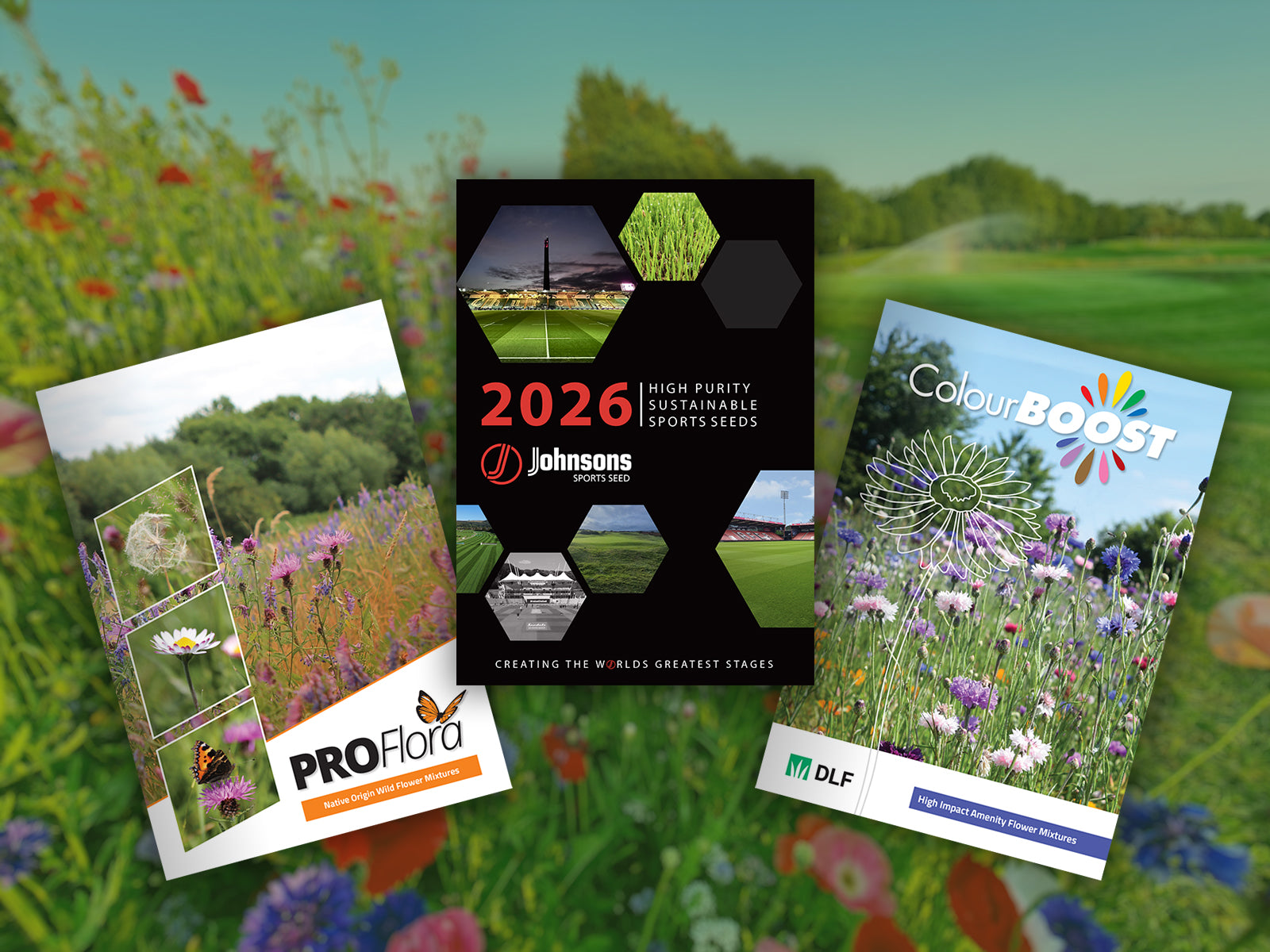 DLF’s strongest ever seed line-up showcased in new Johnsons Sports Seed and wildflower brochures