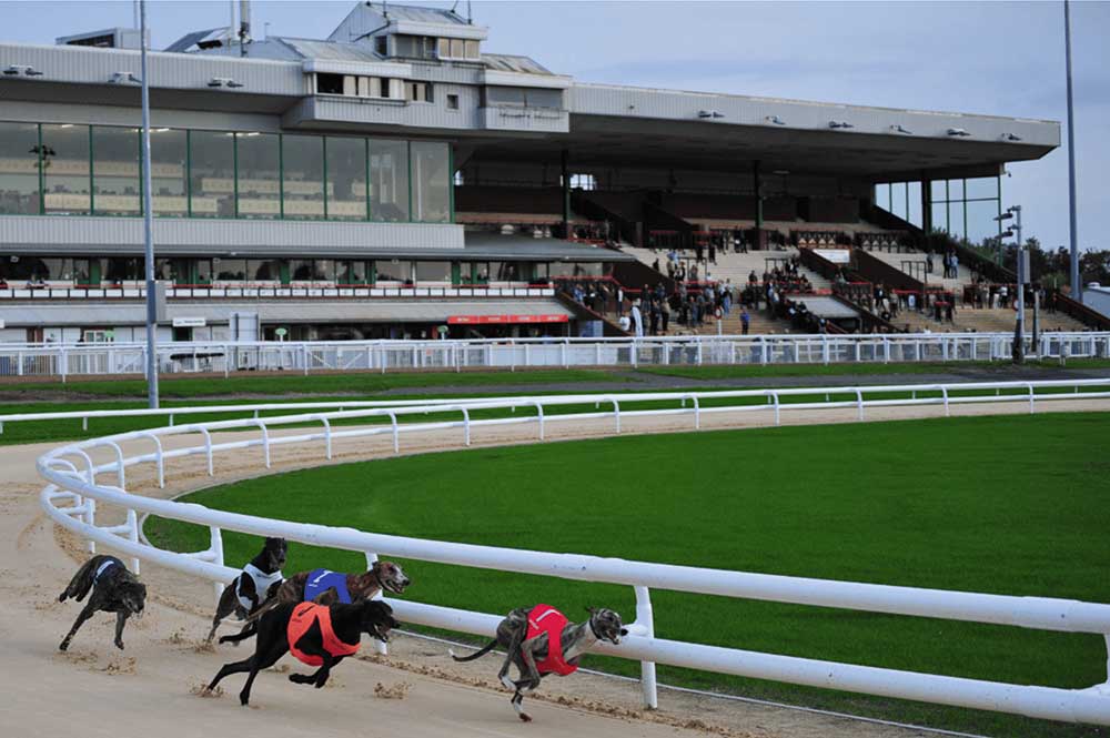 Going to the dogs at Dunstall Park