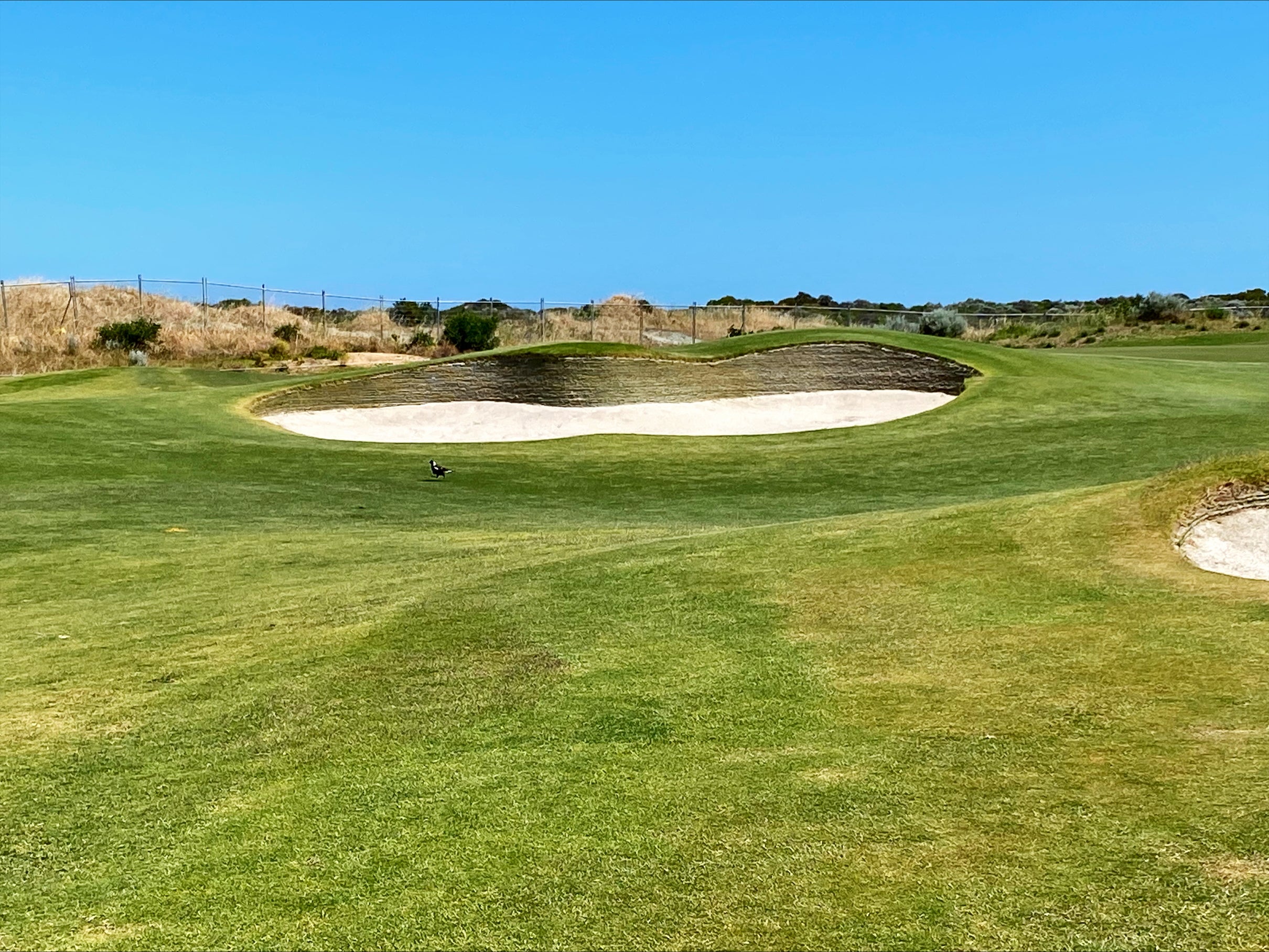 Links Kennedy Bay re-opens with EcoBunker Technology at the heart of major redesign
