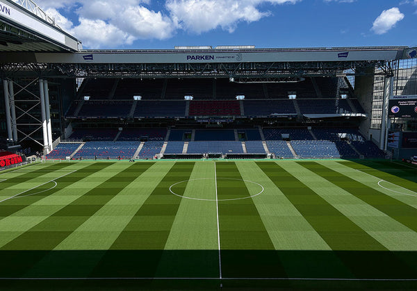 How elite standards delivered Denmark’s Pitch of the Year