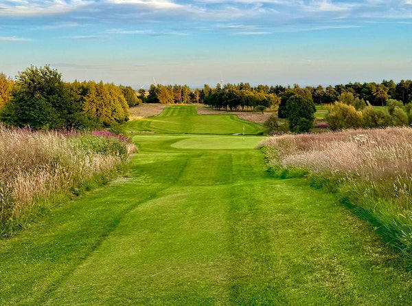How Fife Golf Trust Is leading the UK in sustainable golf course restoration