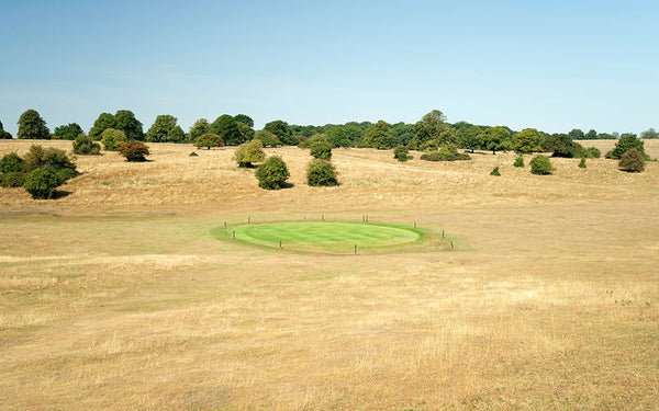 Sports Turf Agronomy Advice - August 2026