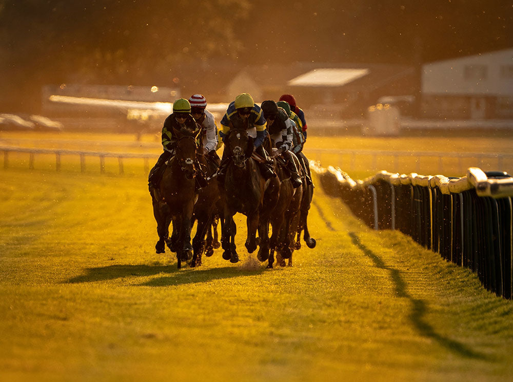 2026 Sun Racing Summer jumps championship launch