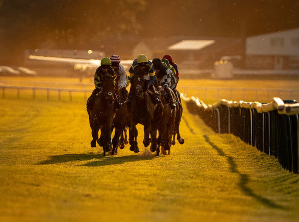 2026 Sun Racing Summer jumps championship launch