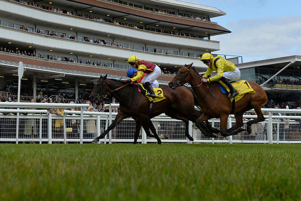 Talk of the Course Episode 10 - A Date With Destiny: Perth Racecourse