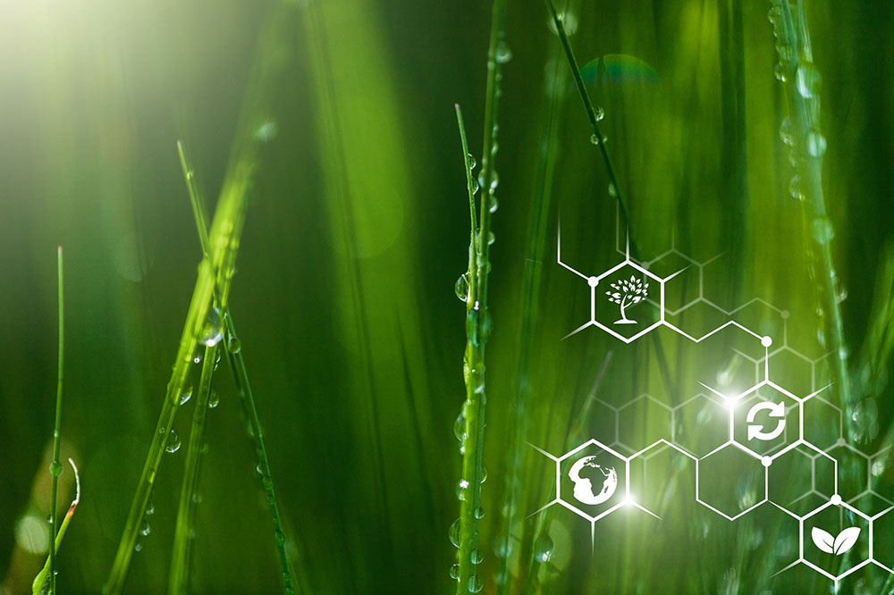 Why turf stress always comes back to photosynthesis