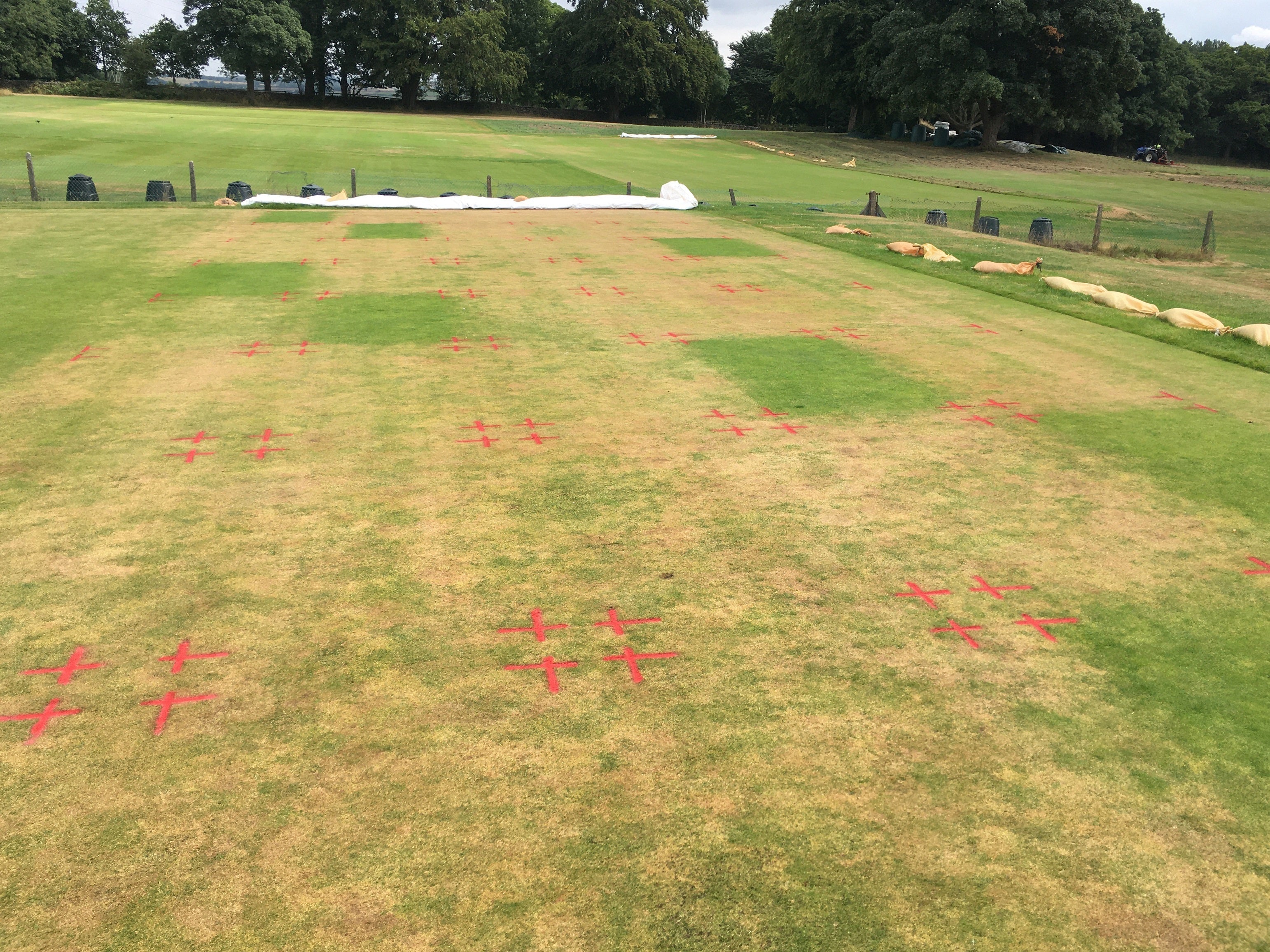 Wetting agent H2Pro TriSmart now registered as ‘non-microbial biostimulant’
