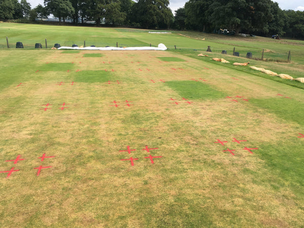 Wetting agent H2Pro TriSmart now registered as ‘non-microbial biostimulant’