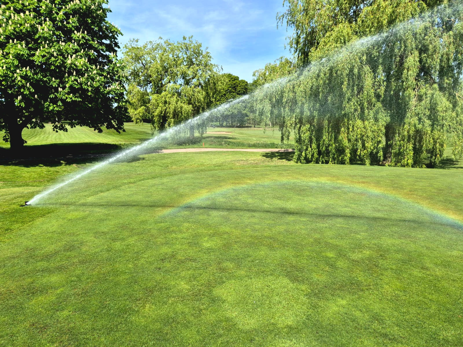 Understanding irrigation uniformity – The key to healthier, more sustainable playing surfaces