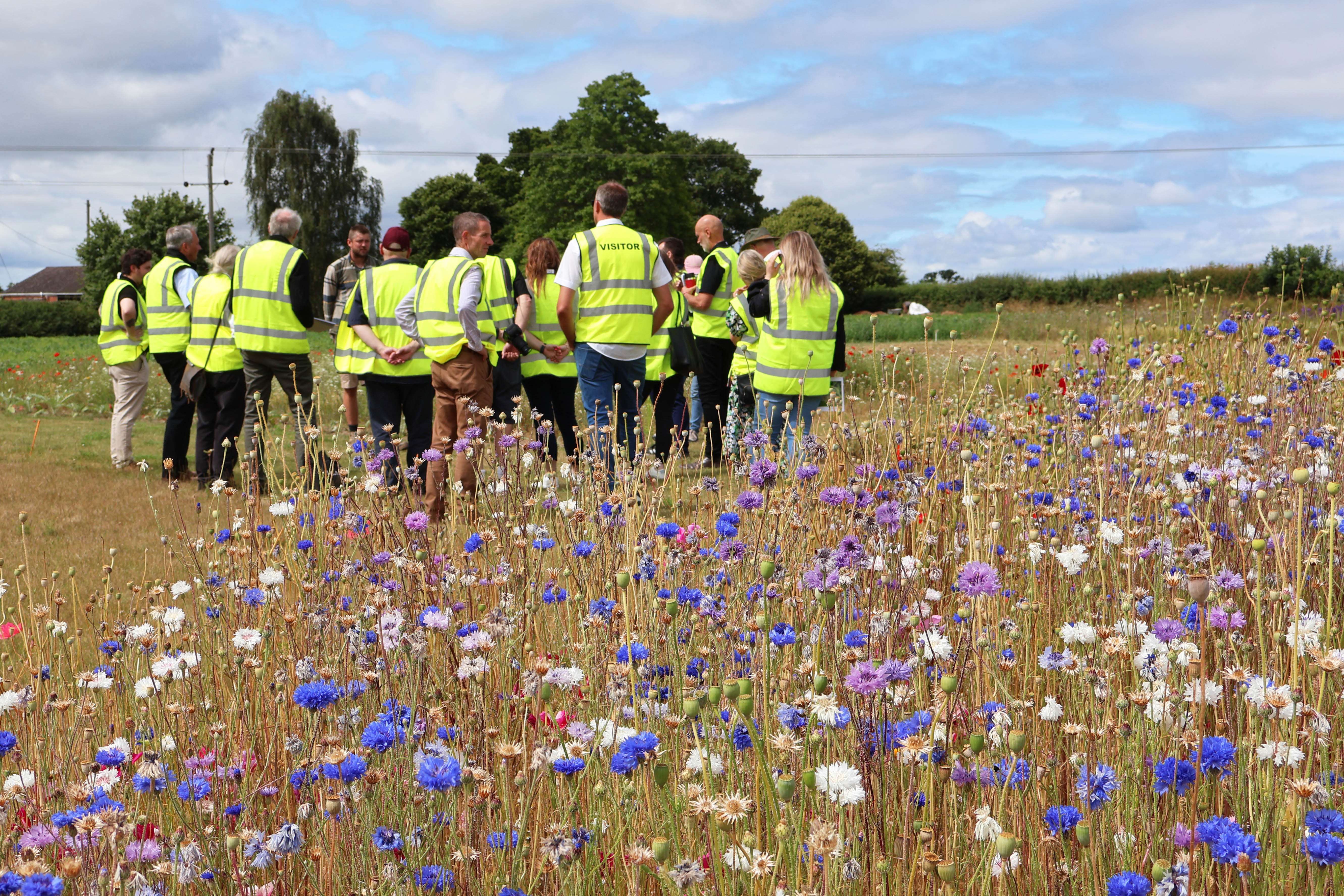 £4.5m investment shapes UK’s industry-leading seed facility at DLF