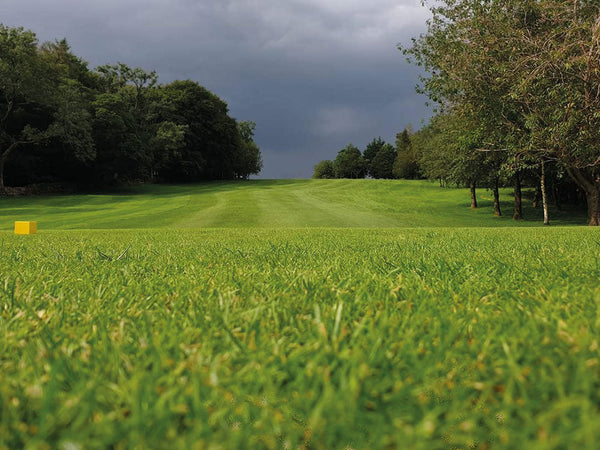 Weathering the storm: climate change and course management