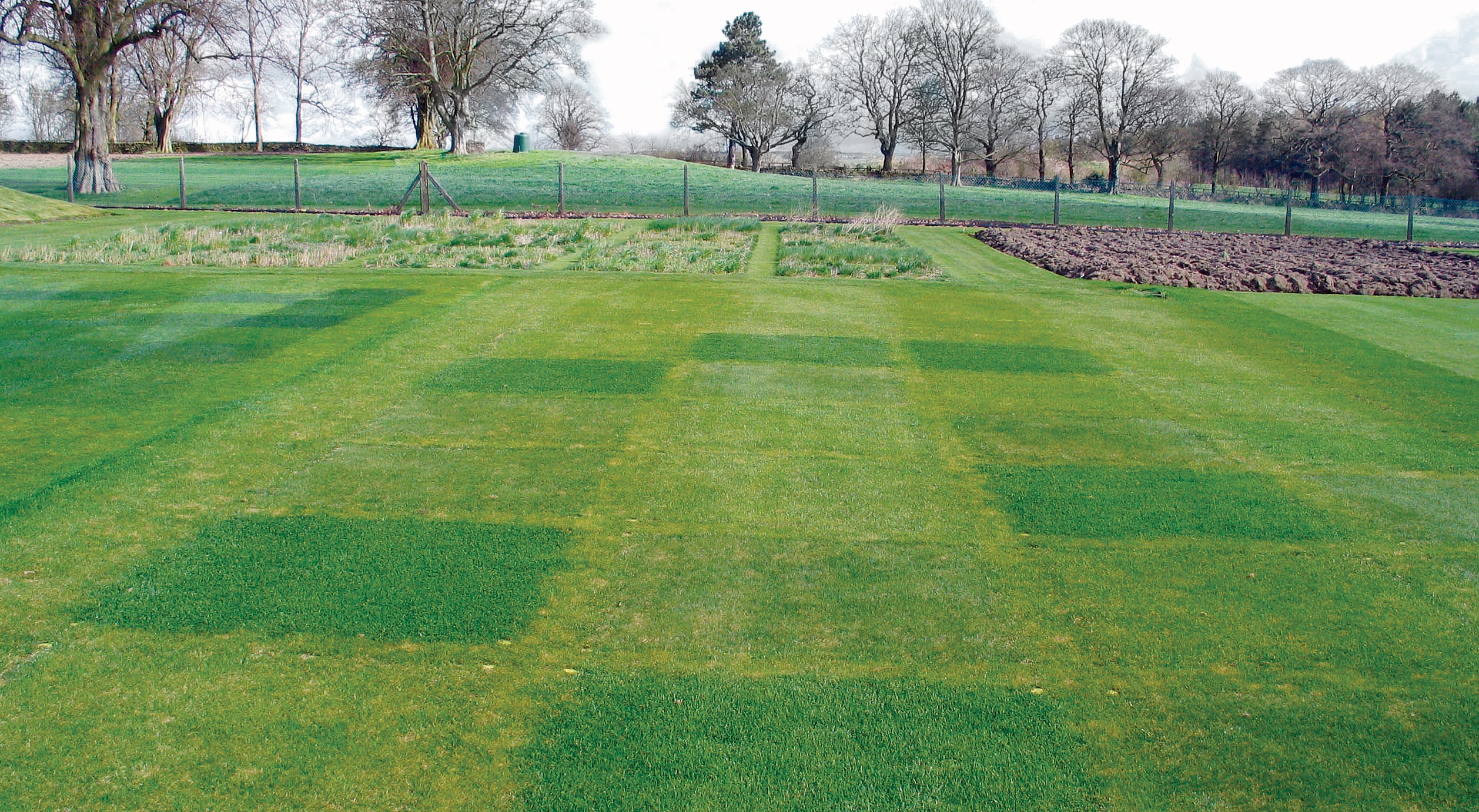 Reduce inputs, not quality, with Microclover® from DLF