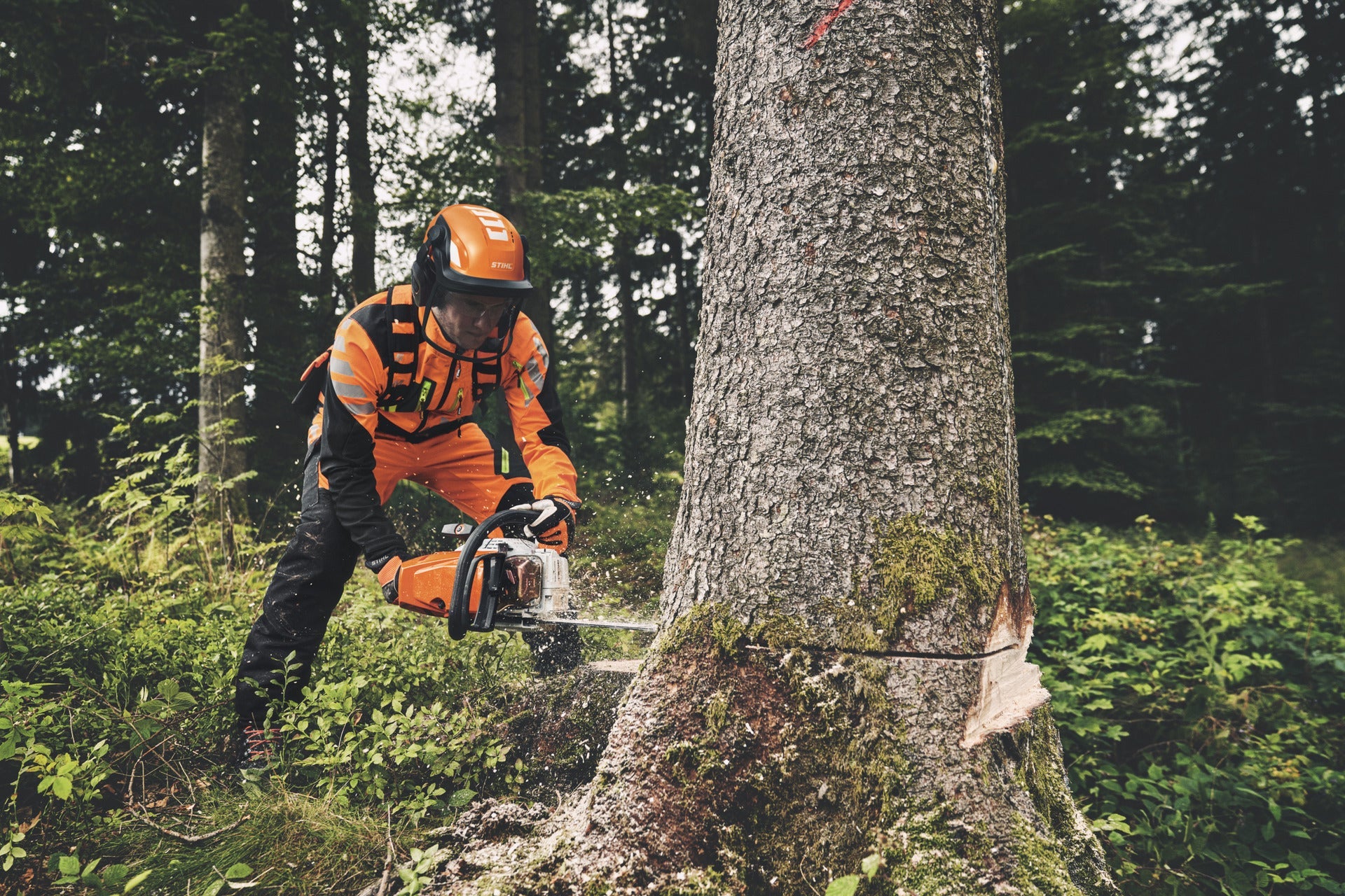 STIHL introduce the new standard of forestry petrol chainsaw with the MS 400.1