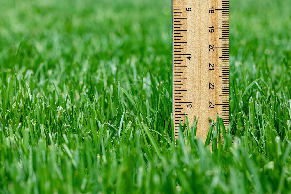 Mark Hunt weather corner; 125 - Measuring growth: How GDD supports smarter turf decisions