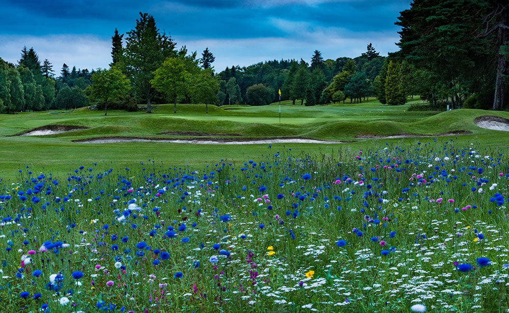 Sports Turf Agronomy Advice - March 2026