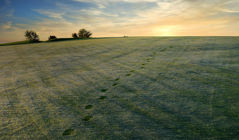 Sports Turf Agronomy Advice - October 2025