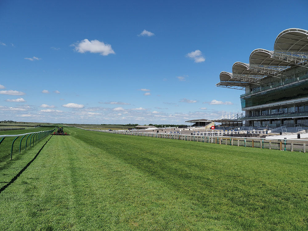 Renovation boost for royal favourite Newmarket racecourse