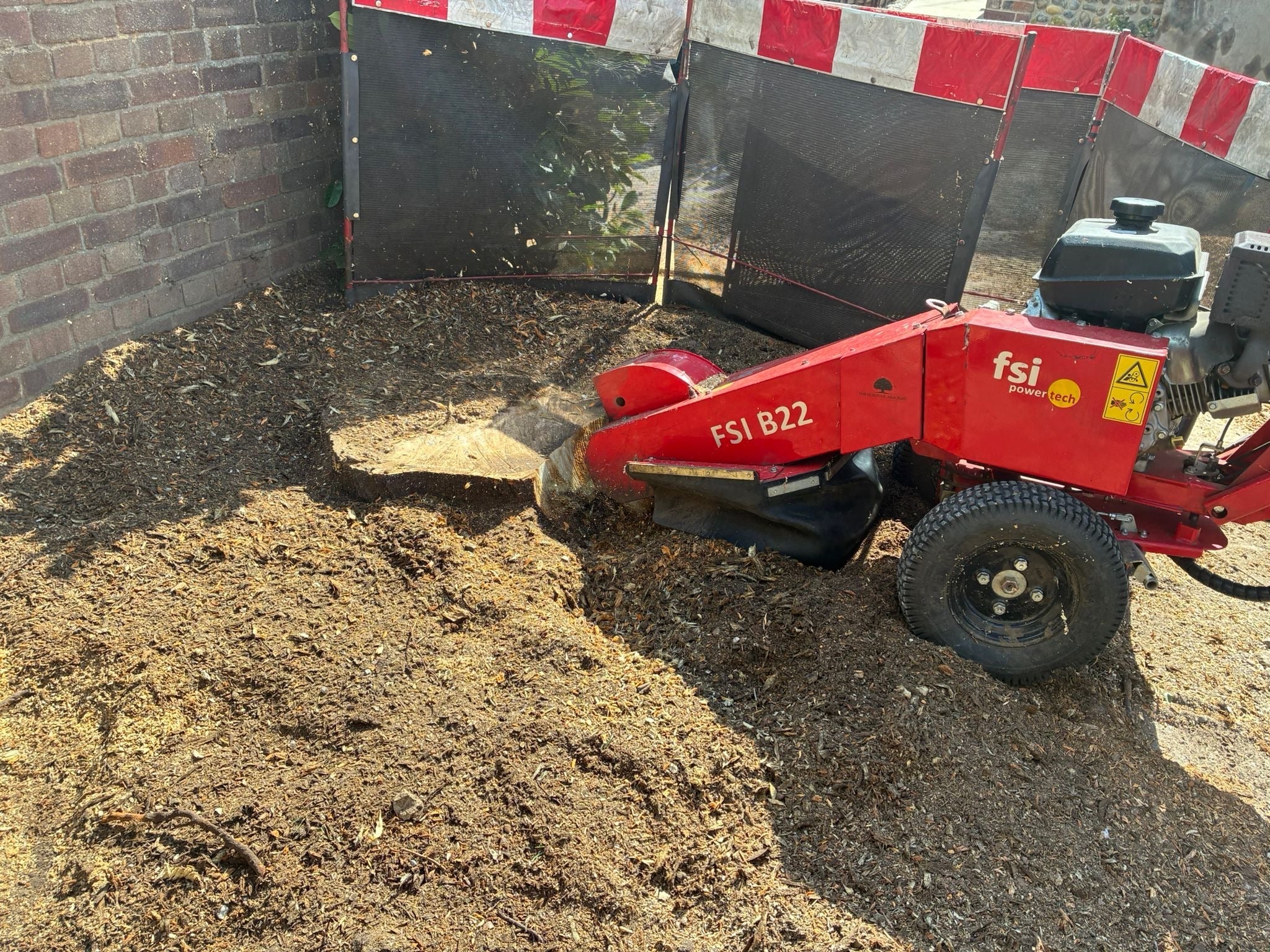 The Norfolk Arborist thrives with reliable stump grinding solutions from FSI
