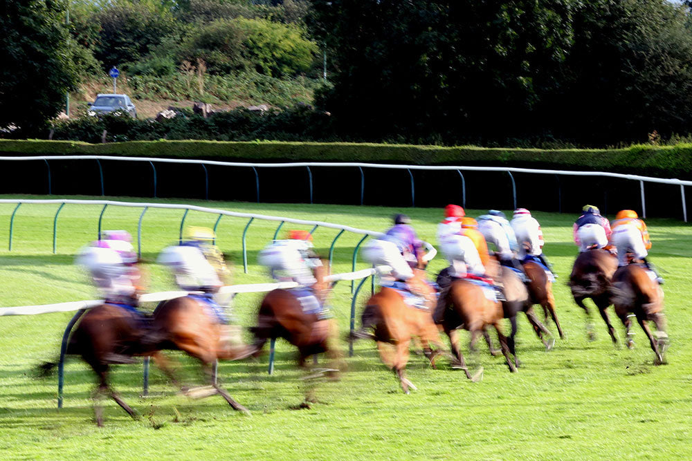 Talk of the Course Episode 4 - A Proper Raceday Experience with William Derby