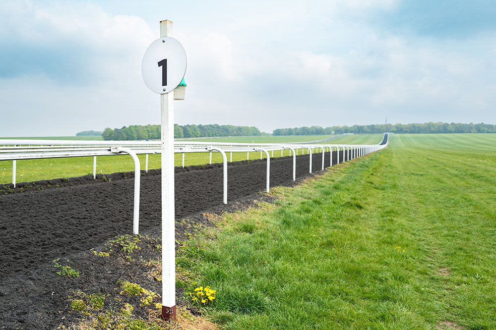 RCA announces results of 2025 Quality Assured Racecourse Scheme