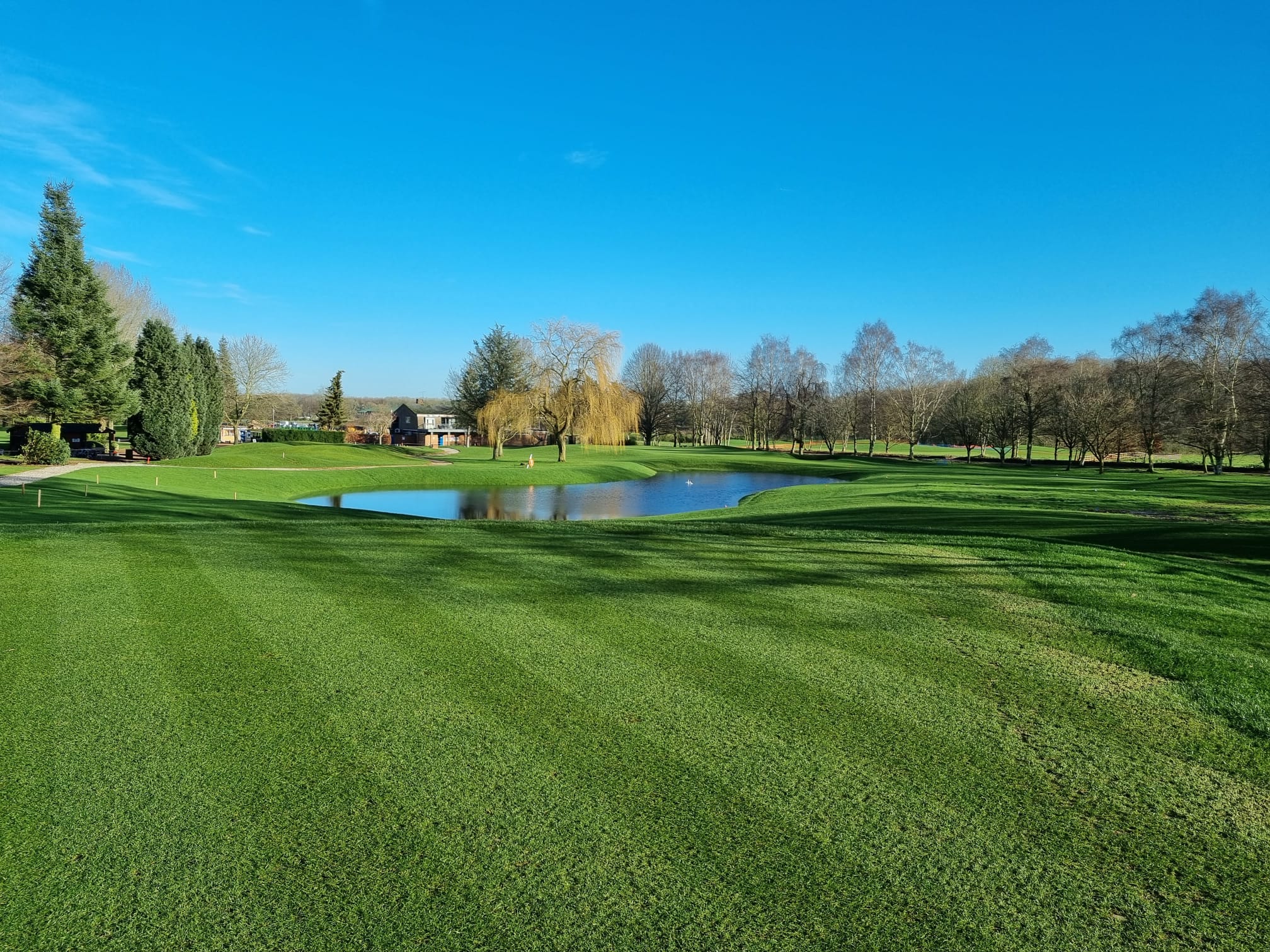 30 years of turfcare for nothing!