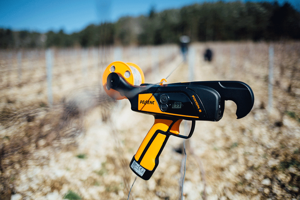 Pellenc Fixion 2: Lighting Up Bakewell's Christmas Spirit