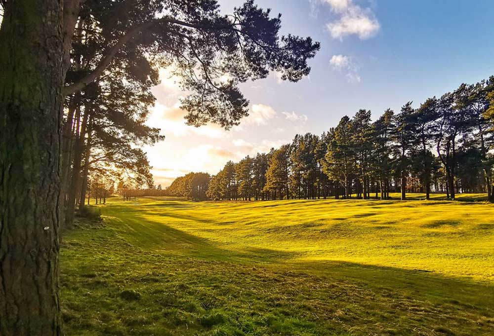 The ups and downs of ridge and furrows