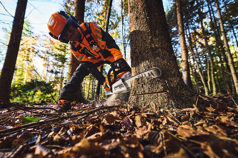 STIHL introduces high-performance, low-weight chainsaw for professional forest thinning and maintenance tasks