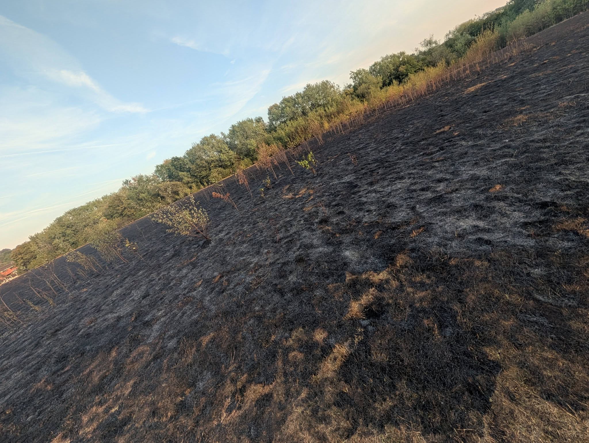 100 firefighters tackle devastating Stourbridge Golf Club wildfire