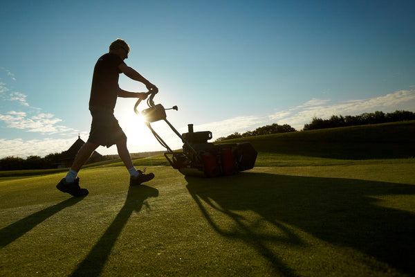 Summer survival kit - Turf Science Live report