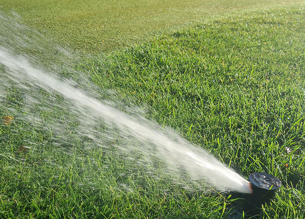 Top Tips - Don’t let a drought stress you out!