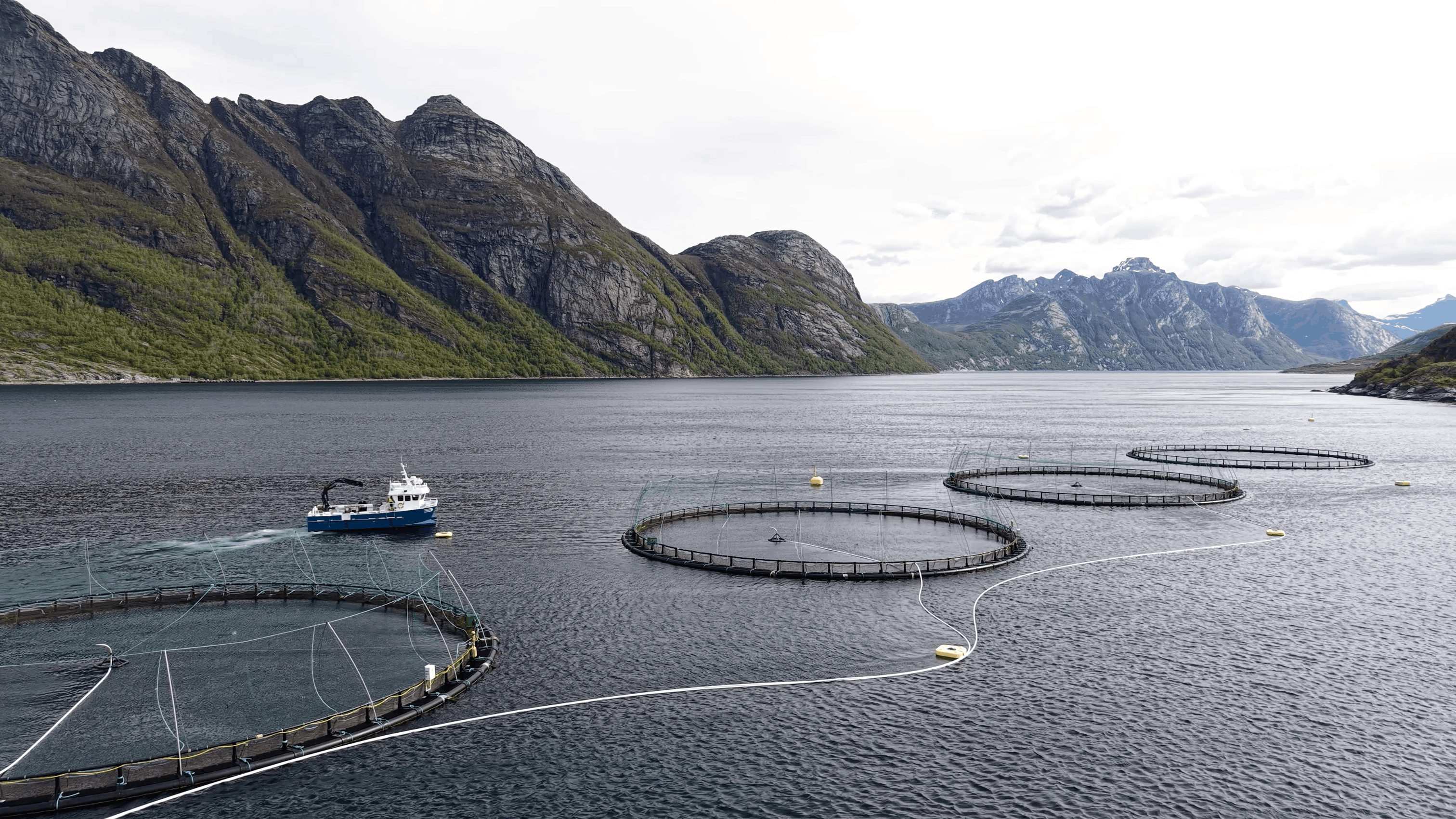 From sea to fairway: Used fishing nets drive sustainability on European Golf Courses