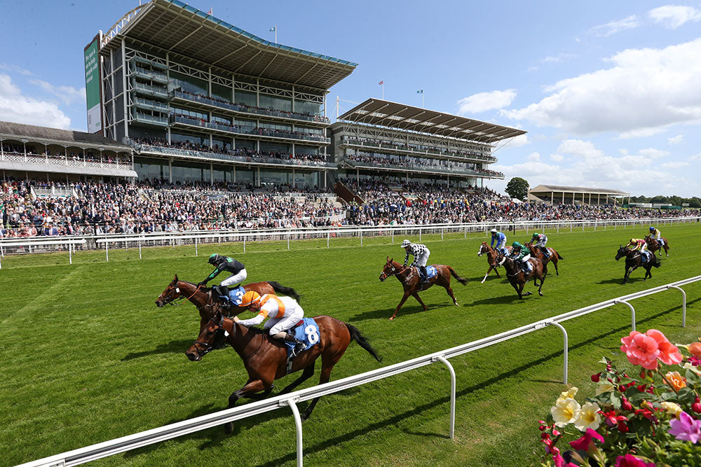 Talk of the Course Episode 3 - Raceday Experience & Sandown Park Racecourse