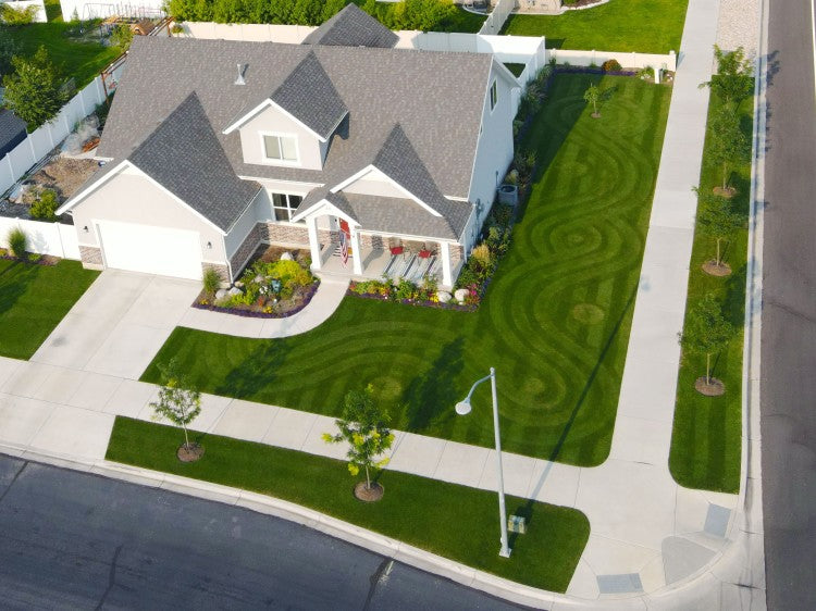 Allett stripes winner 2021.jpg